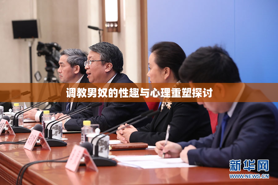 调教男奴的性趣与心理重塑探讨