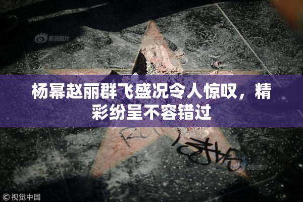 杨幂赵丽群飞盛况令人惊叹，精彩纷呈不容错过