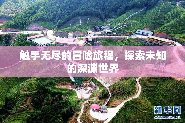 触手无尽的冒险旅程，探索未知的深渊世界