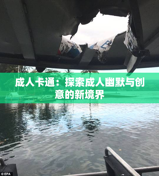 成人卡通：探索成人幽默与创意的新境界