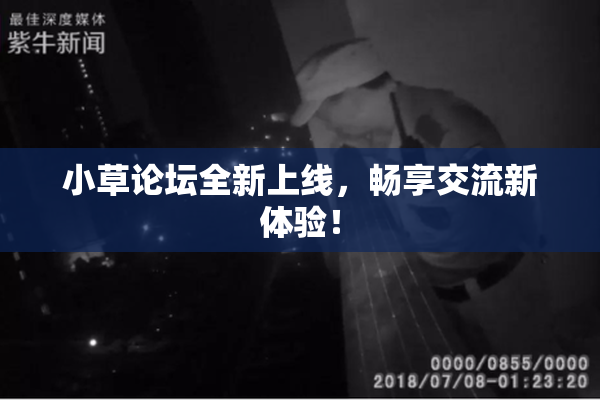 小草论坛全新上线，畅享交流新体验！