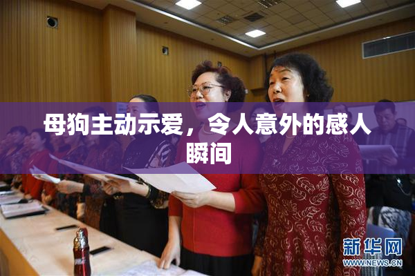 母狗主动示爱，令人意外的感人瞬间