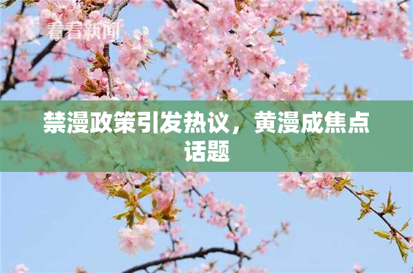 禁漫政策引发热议，黄漫成焦点话题