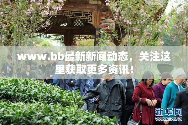 www.bb最新新闻动态，关注这里获取更多资讯！