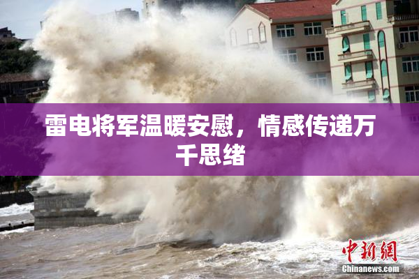 雷电将军温暖安慰，情感传递万千思绪