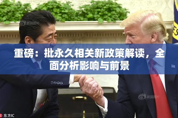 重磅：批永久相关新政策解读，全面分析影响与前景