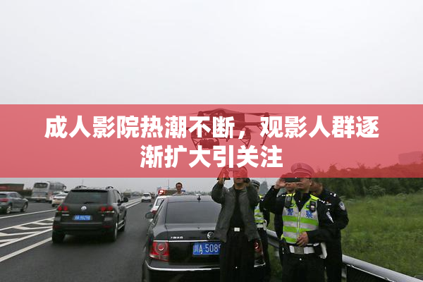 成人影院热潮不断，观影人群逐渐扩大引关注