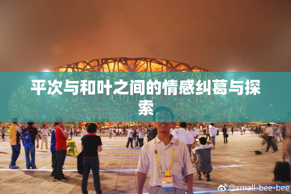 平次与和叶之间的情感纠葛与探索