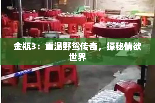 金瓶3：重温野鸳传奇，探秘情欲世界