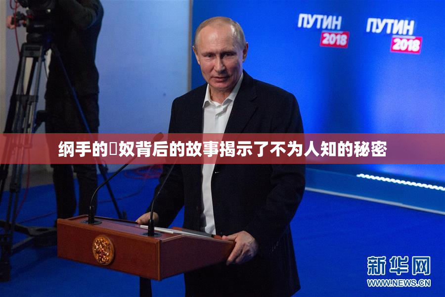 纲手的婬奴背后的故事揭示了不为人知的秘密