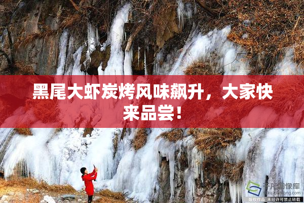 黑尾大虾炭烤风味飙升，大家快来品尝！