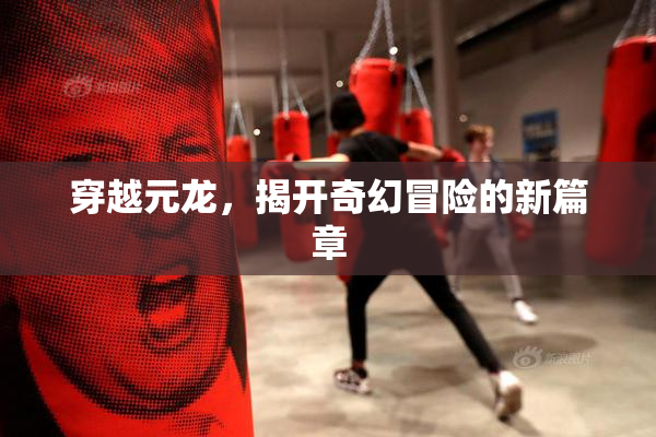 穿越元龙，揭开奇幻冒险的新篇章
