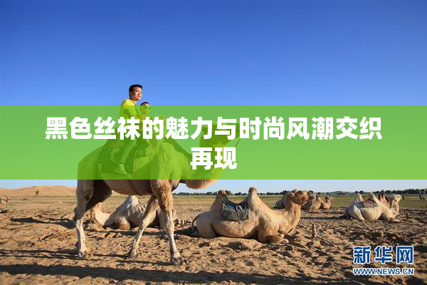 黑色丝袜的魅力与时尚风潮交织再现