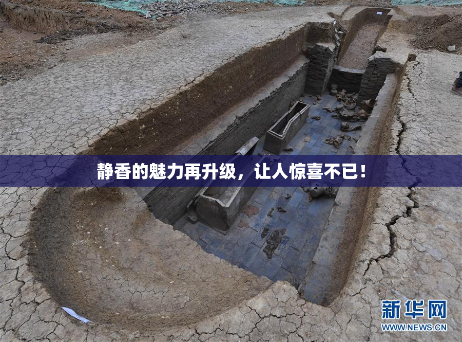 静香的魅力再升级，让人惊喜不已！