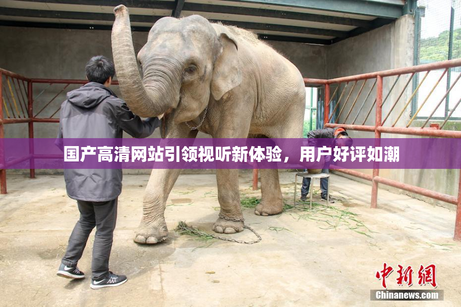 国产高清网站引领视听新体验，用户好评如潮
