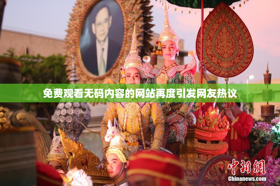 免费观看无码内容的网站再度引发网友热议