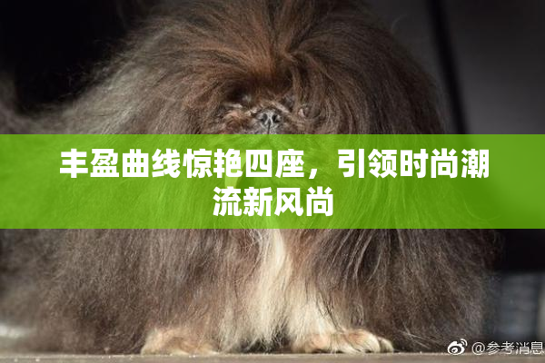 丰盈曲线惊艳四座，引领时尚潮流新风尚