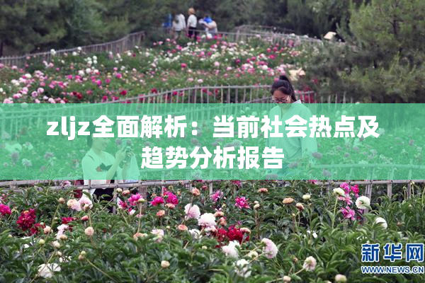 zljz全面解析：当前社会热点及趋势分析报告