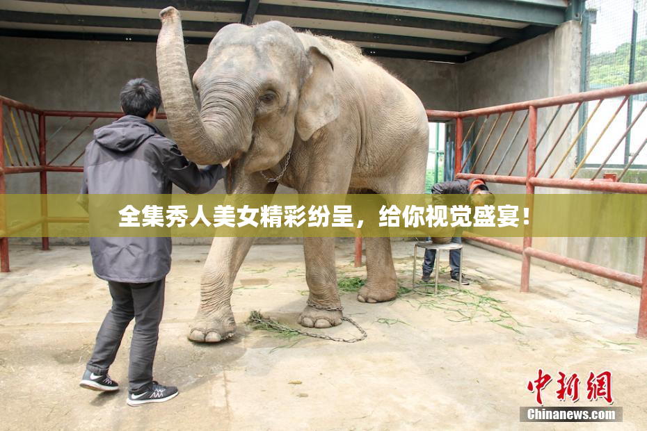 全集秀人美女精彩纷呈，给你视觉盛宴！