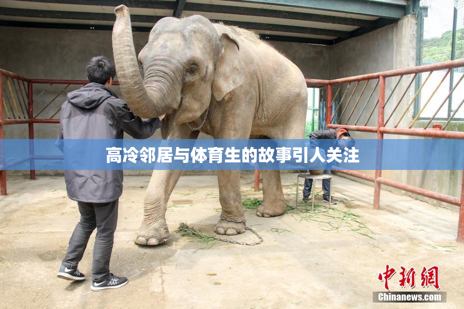 高冷邻居与体育生的故事引人关注