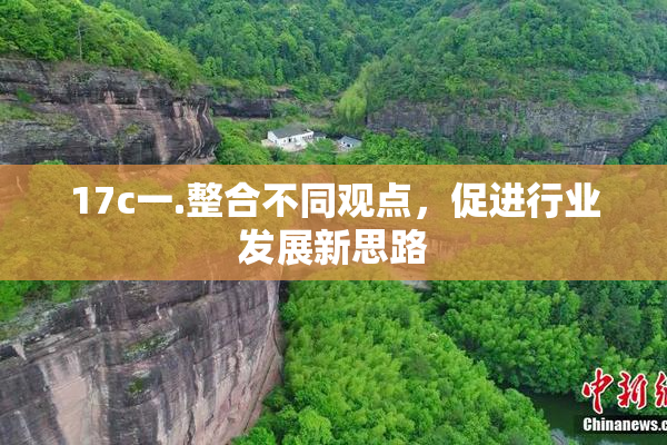 17c一.整合不同观点，促进行业发展新思路