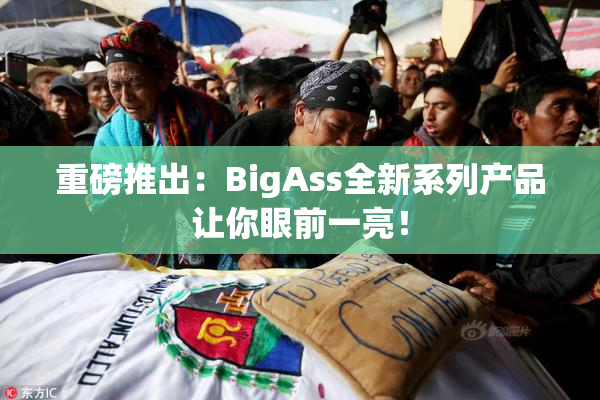 重磅推出：BigAss全新系列产品让你眼前一亮！