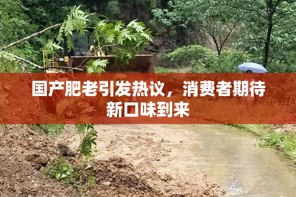 国产肥老引发热议，消费者期待新口味到来