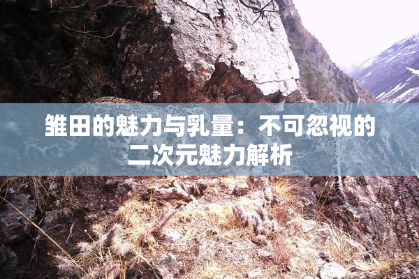 雏田的魅力与乳量：不可忽视的二次元魅力解析