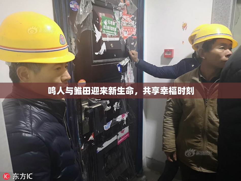 鸣人与雏田迎来新生命，共享幸福时刻