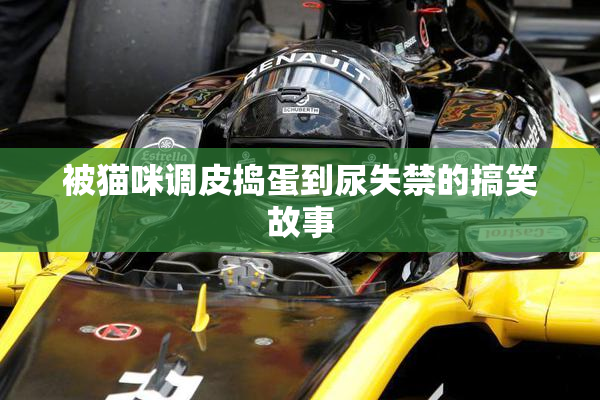 被猫咪调皮捣蛋到尿失禁的搞笑故事