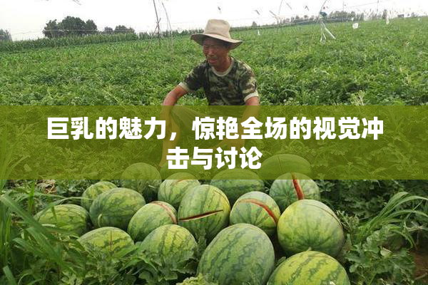 巨乳的魅力，惊艳全场的视觉冲击与讨论