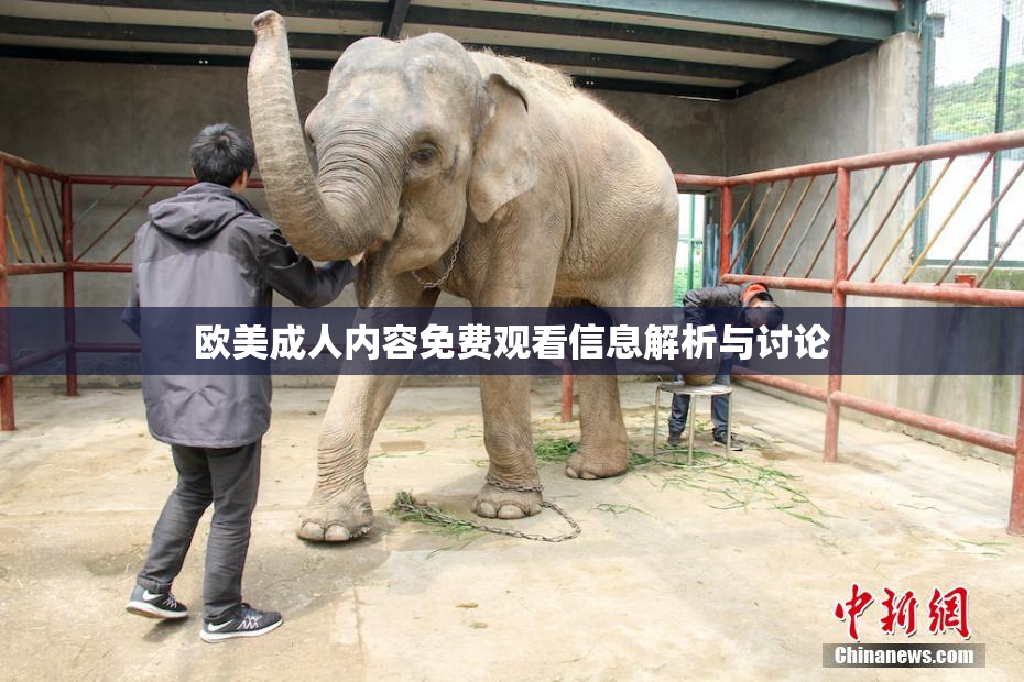 欧美成人内容免费观看信息解析与讨论