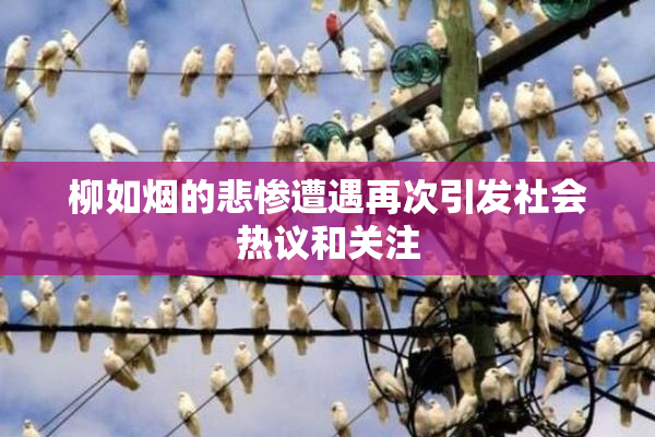 柳如烟的悲惨遭遇再次引发社会热议和关注