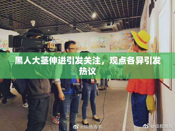 黑人大茎伸进引发关注，观点各异引发热议