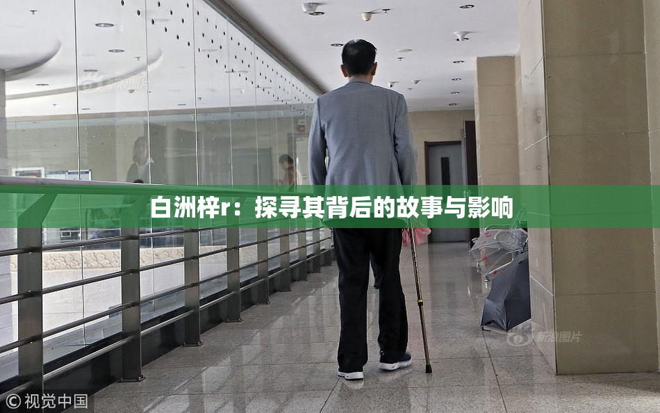 白洲梓r：探寻其背后的故事与影响