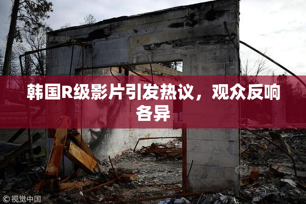 韩国R级影片引发热议，观众反响各异