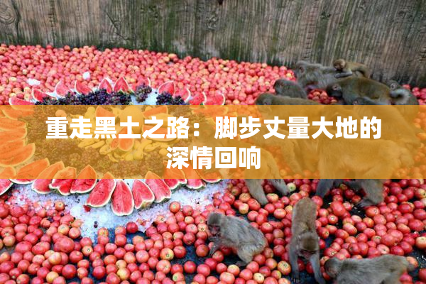 重走黑土之路：脚步丈量大地的深情回响