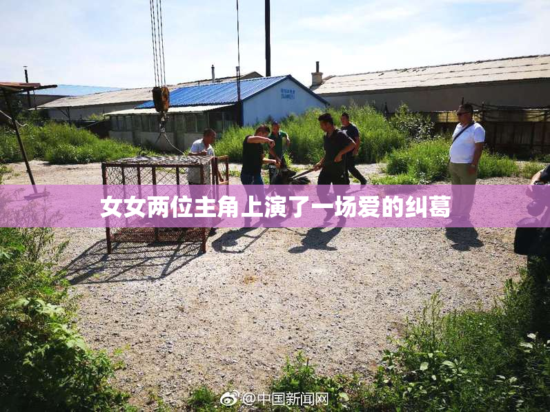 女女两位主角上演了一场爱的纠葛