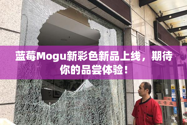 蓝莓Mogu新彩色新品上线，期待你的品尝体验！