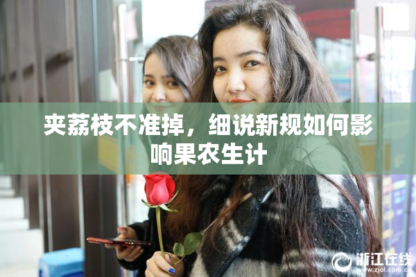 夹荔枝不准掉，细说新规如何影响果农生计