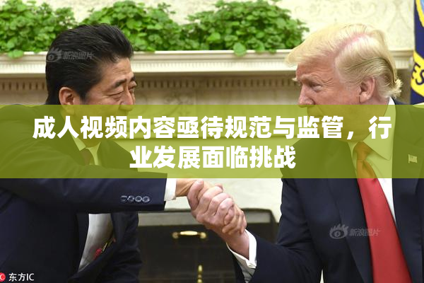 成人视频内容亟待规范与监管，行业发展面临挑战