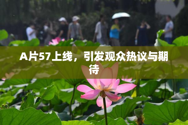 A片57上线，引发观众热议与期待