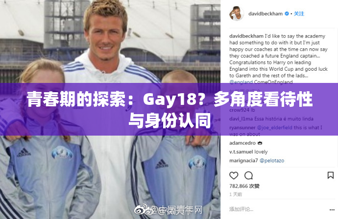 青春期的探索：Gay18？多角度看待性与身份认同