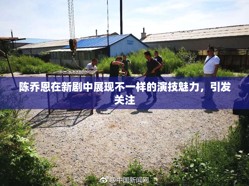 陈乔恩在新剧中展现不一样的演技魅力，引发关注