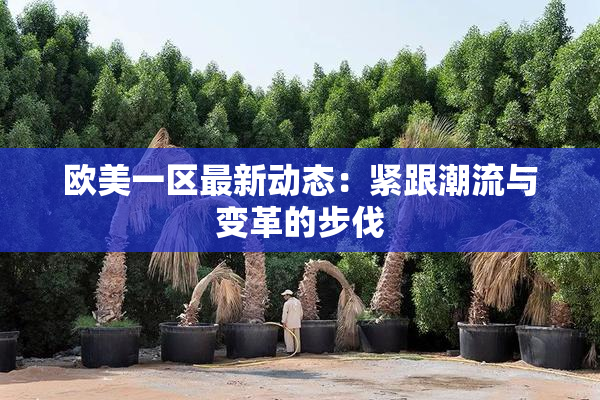欧美一区最新动态：紧跟潮流与变革的步伐