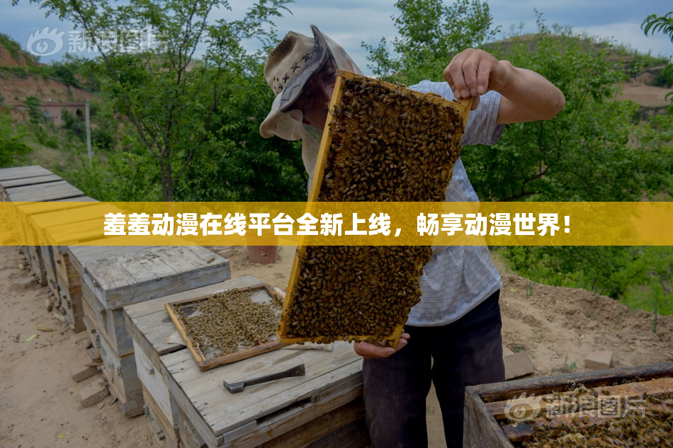 羞羞动漫在线平台全新上线，畅享动漫世界！