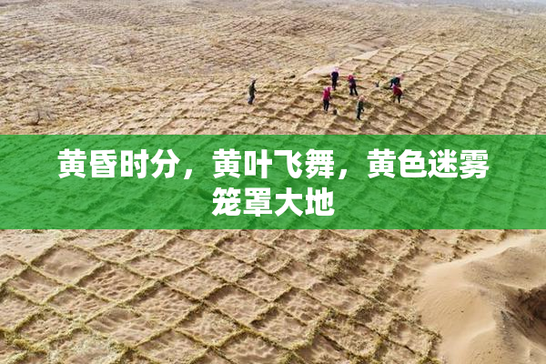 黄昏时分，黄叶飞舞，黄色迷雾笼罩大地