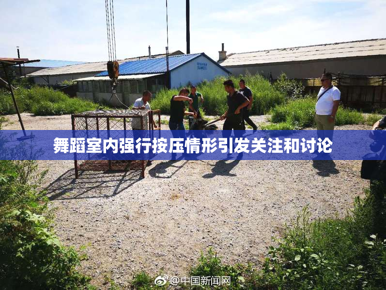舞蹈室内强行按压情形引发关注和讨论