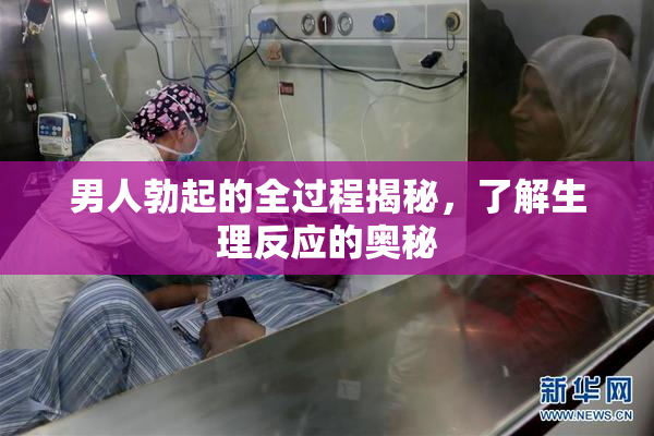 男人勃起的全过程揭秘，了解生理反应的奥秘