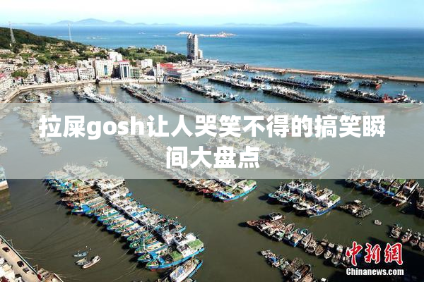 拉屎gosh让人哭笑不得的搞笑瞬间大盘点